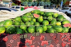 郑州吃瓜娱乐官网,揭秘城市美食与娱乐新风向